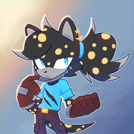 2024 - Sonic OC